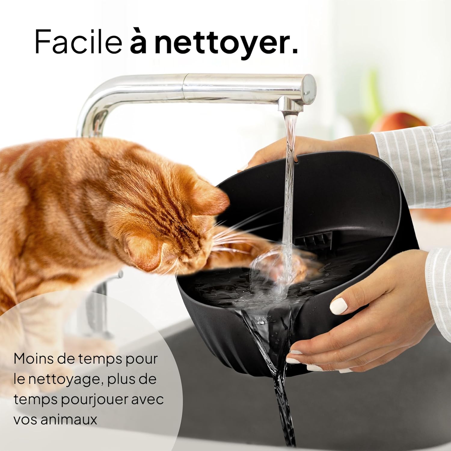 Thumbnail 5 de Pretty Paw Aqua Flow – Fontaine à eau pour chat 3L silencieuse avec filtration au charbon actif