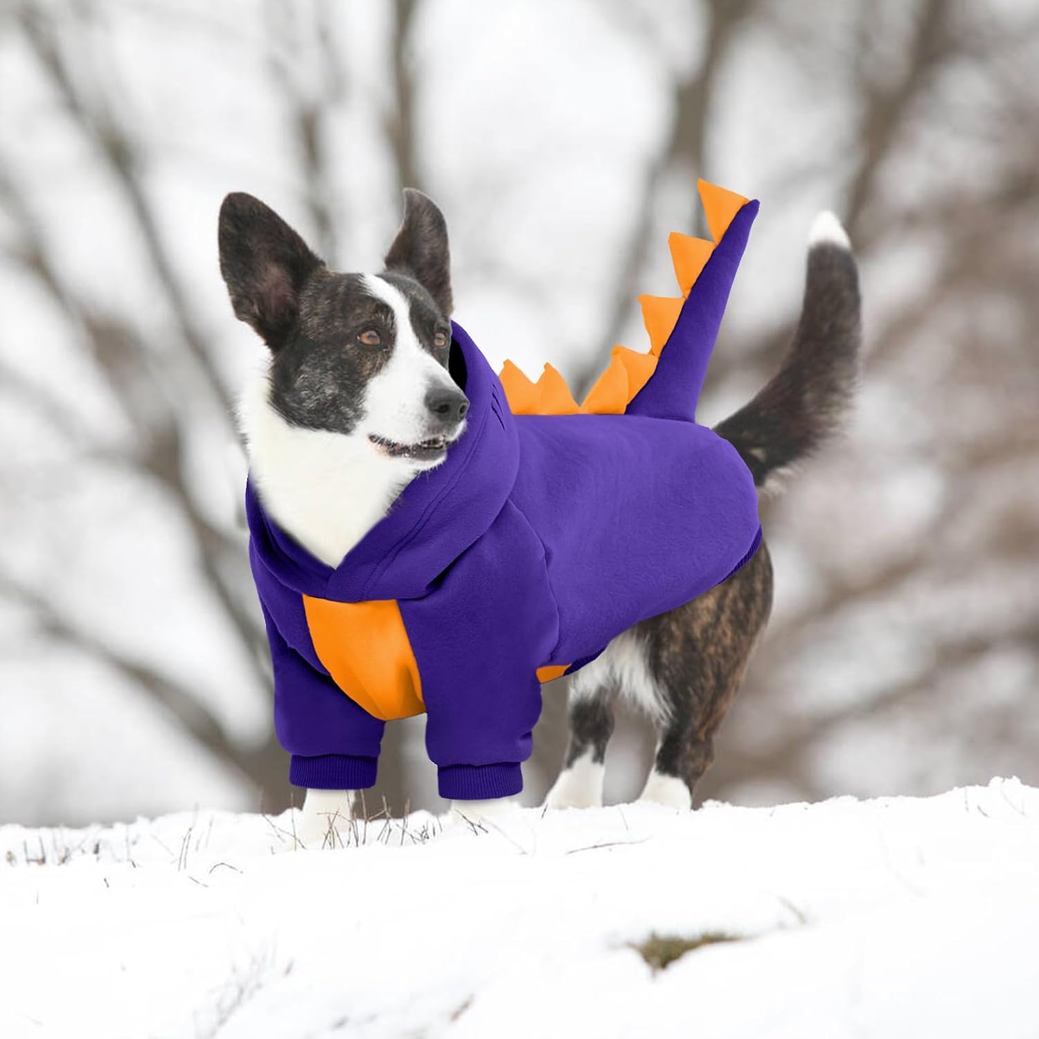 Thumbnail 6 de Lelepet Halloween Dog Dinosaur Costume Purple L