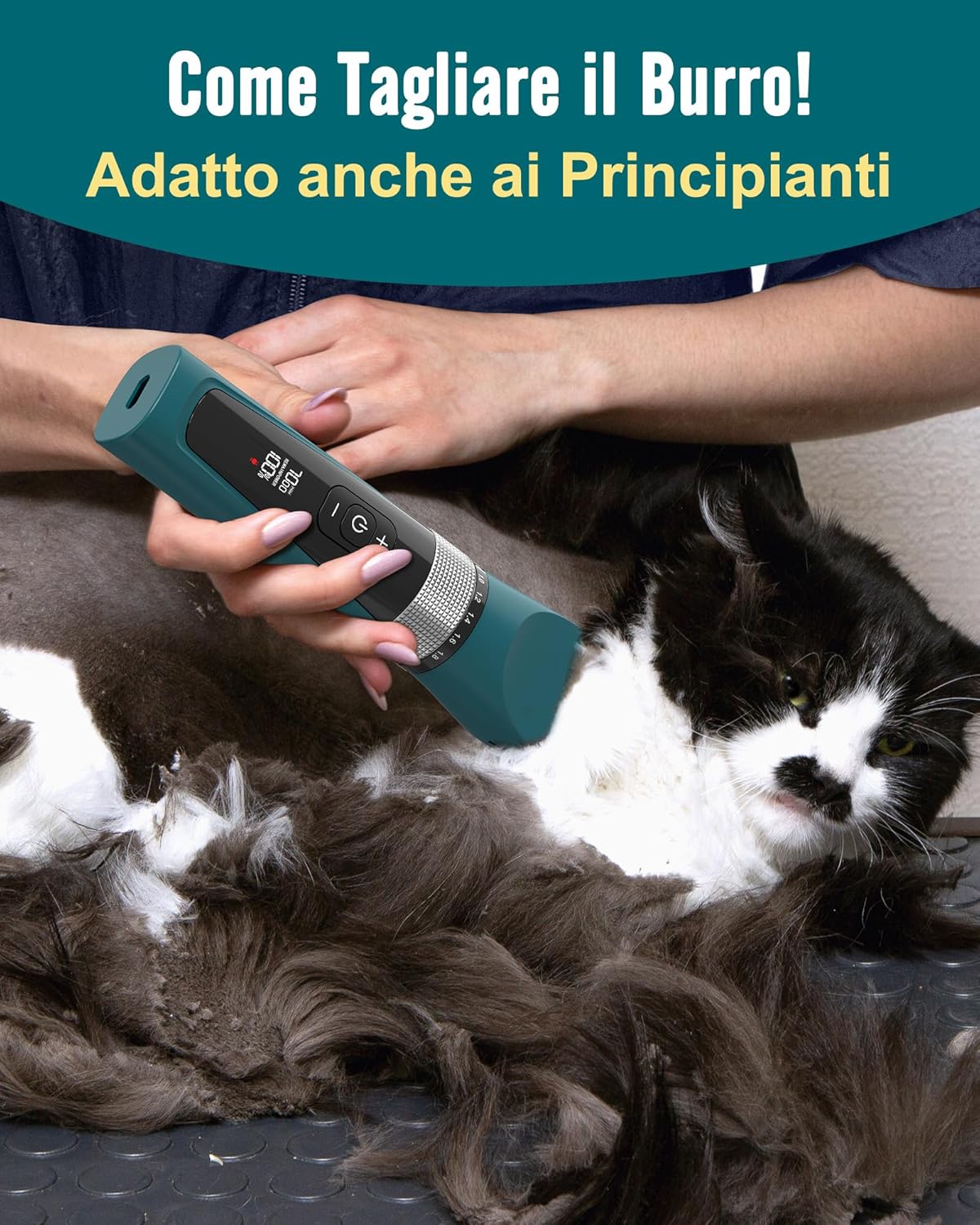 Thumbnail 2 de oneisall Tagliagatti silenzioso per gatti a pelo lungo – rasoio professionale con 5 velocità, display LCD e IPX6 (Verde)