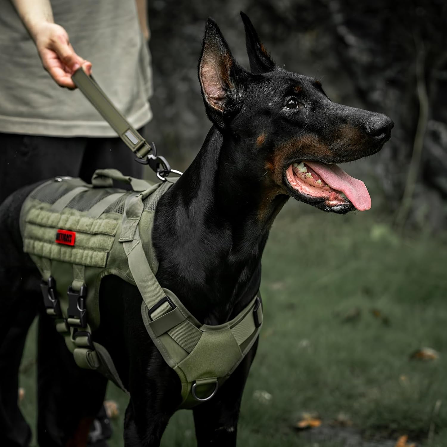 Detalle de OneTigris Bolt: Guinzaglio corto da 30 cm per cani di taglia media, con clip in metallo a forma di tigre e imbottitura, riflettente, verde