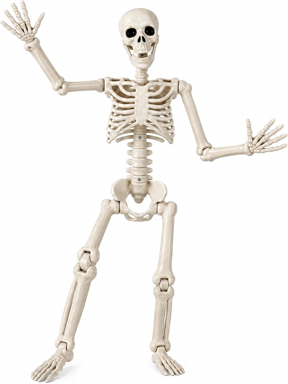Detalle de Toolterritary WSJKL-1PCS 36-Inch Plastic Halloween Skeleton with Posable Joints