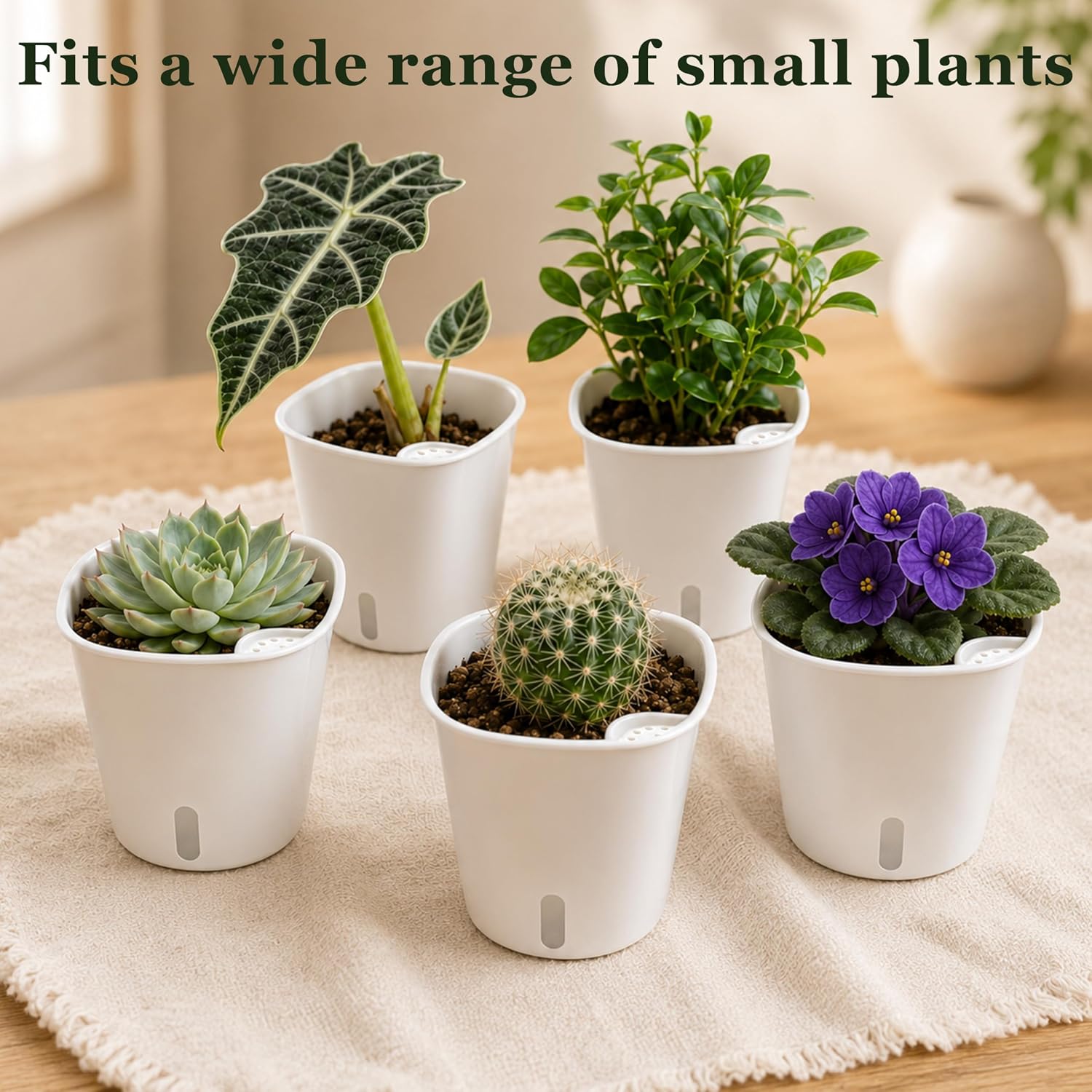 Detalle 2 de TCBWFY 10-Pack Self-Watering Plant Pots, 3-Inch White Pots with Water-Level Window