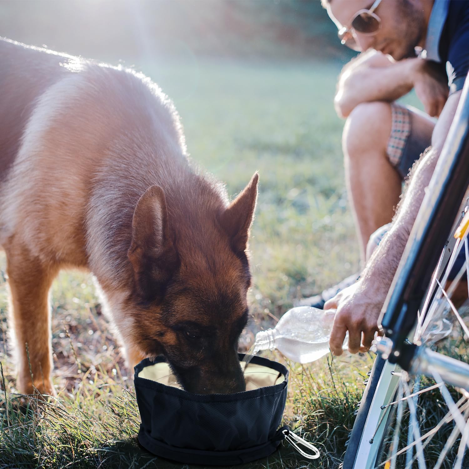 Detalle de LumoLeaf Collapsible Dog Travel Bowls (Large) – Lightweight foldable food & water bowls with zipper and carabiner