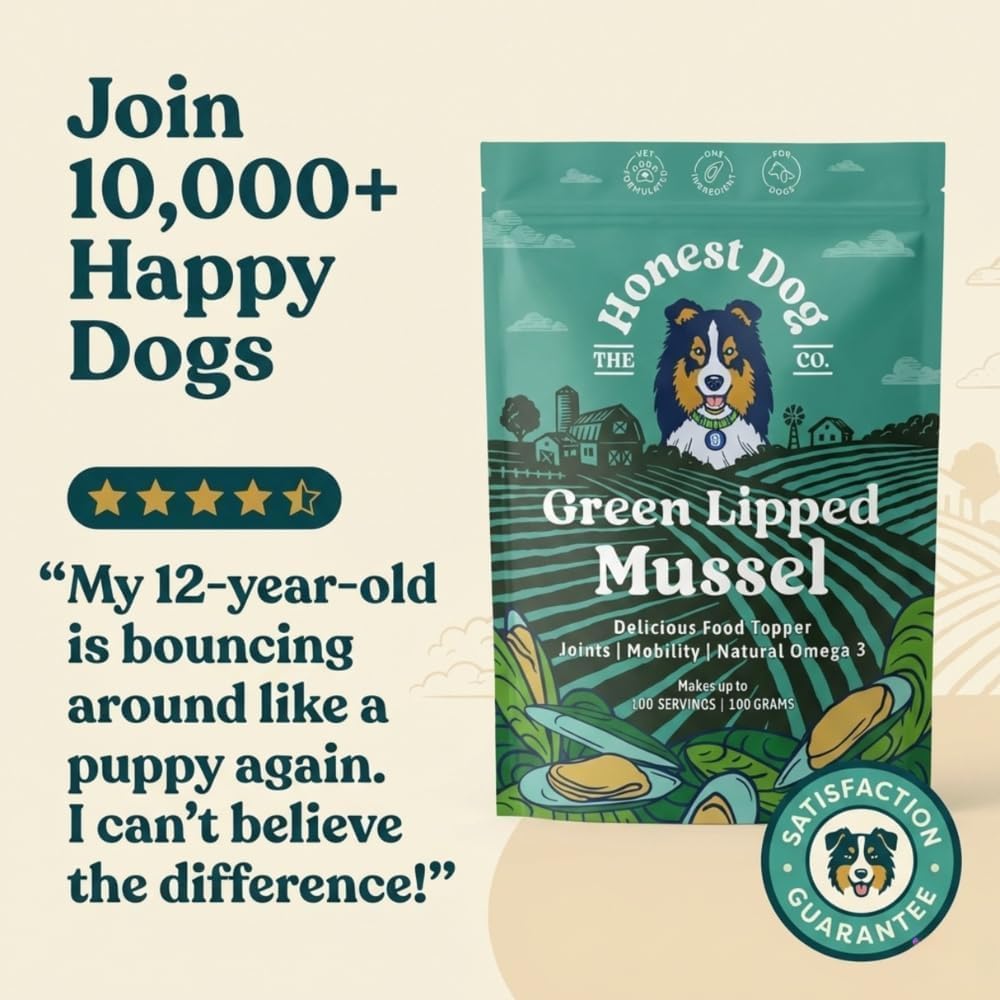 Thumbnail 5 de Green Lipped Mussel for Dogs | 100% Pure New Zealand Powder by The Honest Dog Co