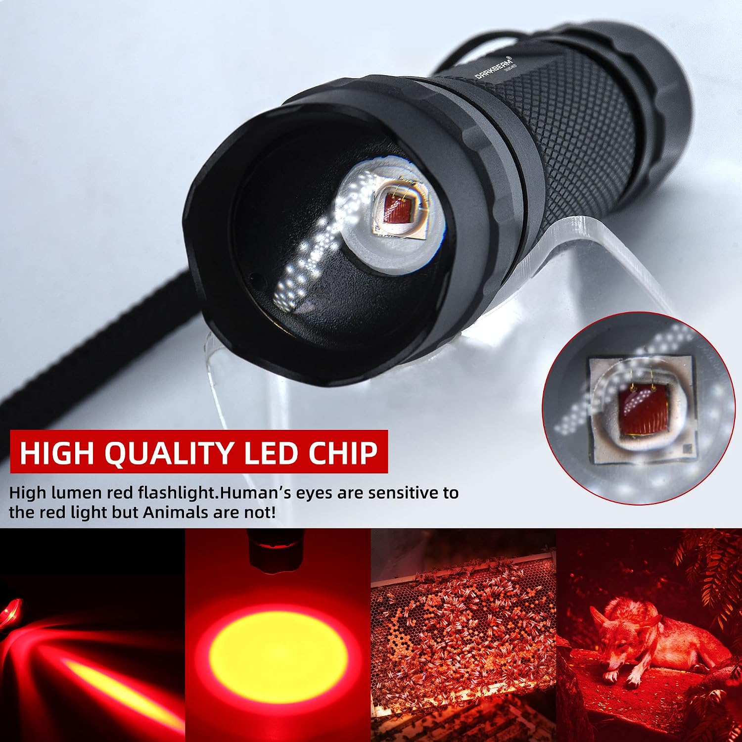 Thumbnail 1 de DARKBEAM 501B-S rode zaklamp met verstelbare focus, 500 lumen en USB-opladen