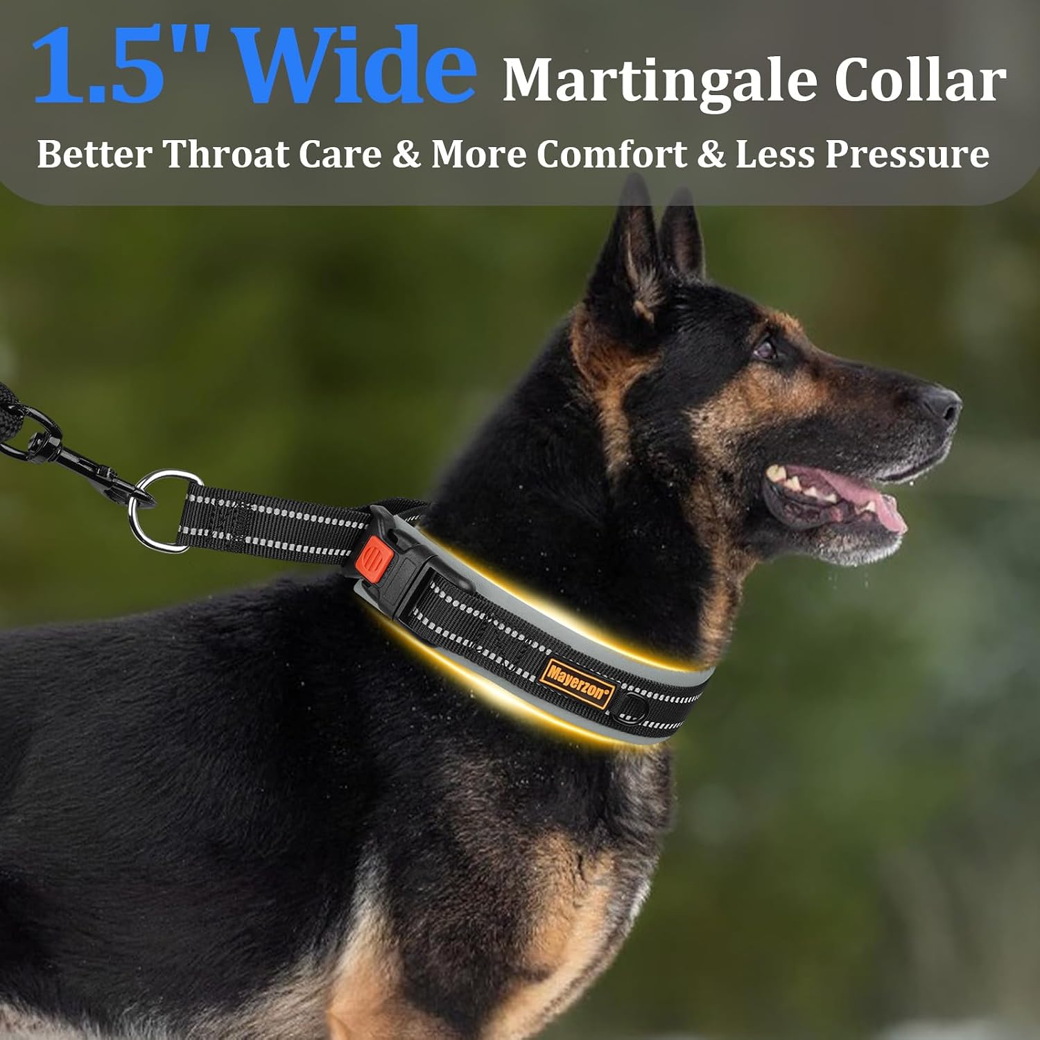 Thumbnail 6 de Mayerzon Martingale Dog Collar, 1.5-Inch Wide