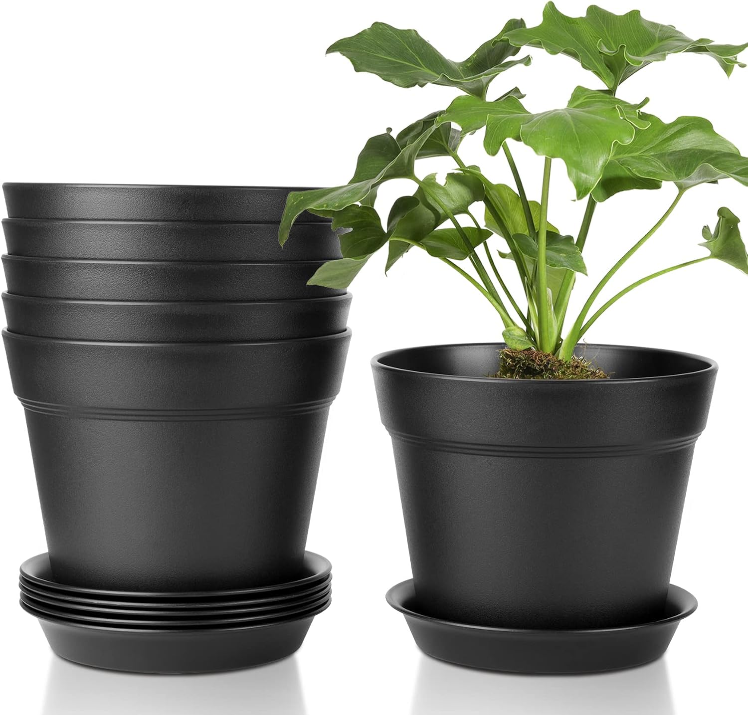 Thumbnail 6 de T4U 10cm Plastic Plant Pots 6-Pack with Saucers – Minimalist Indoor/Outdoor Nursery for a Range of Houseplants