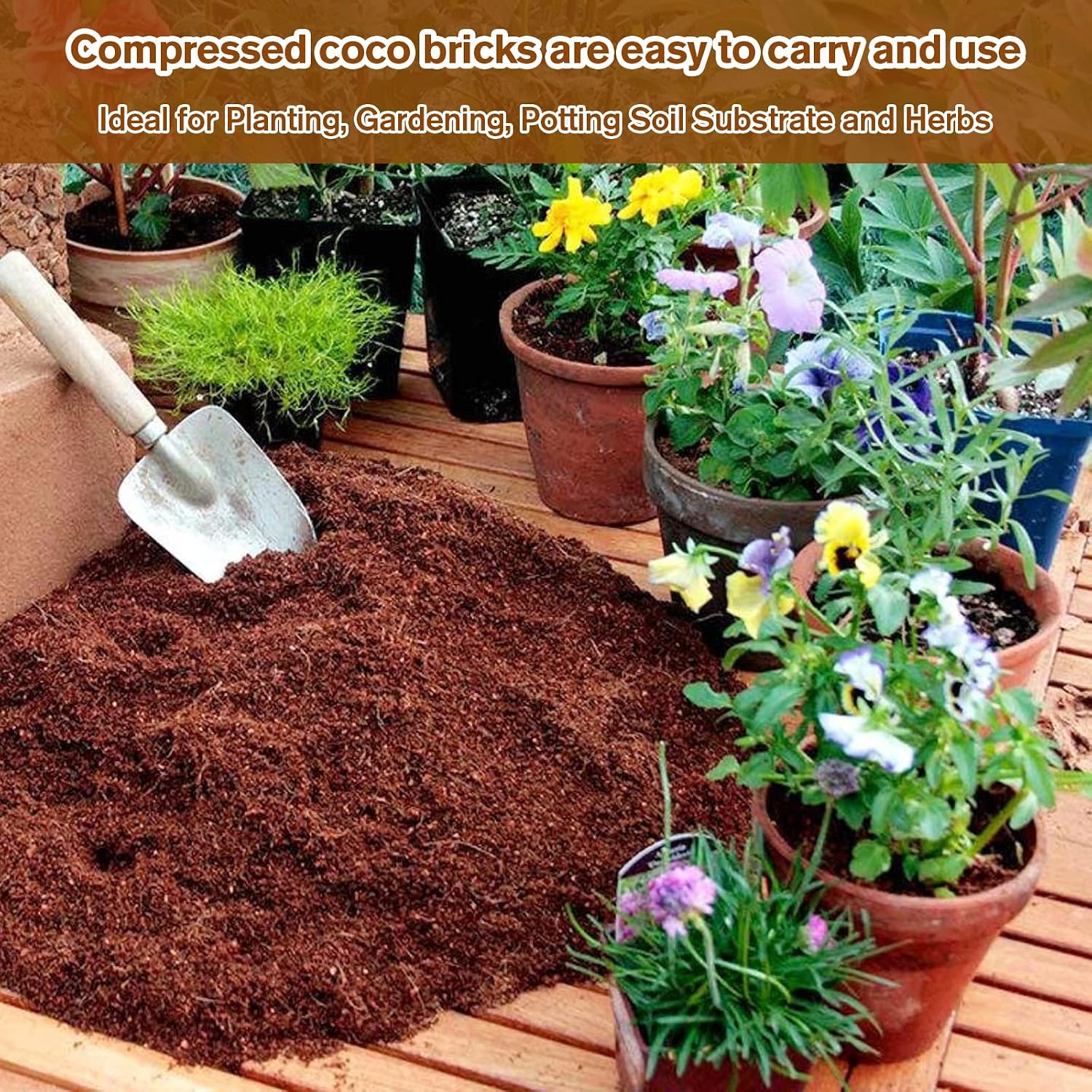 Detalle 2 de Legigo LG-Coco Bricks-10set Organic Coco Coir Bricks, 10-Pack