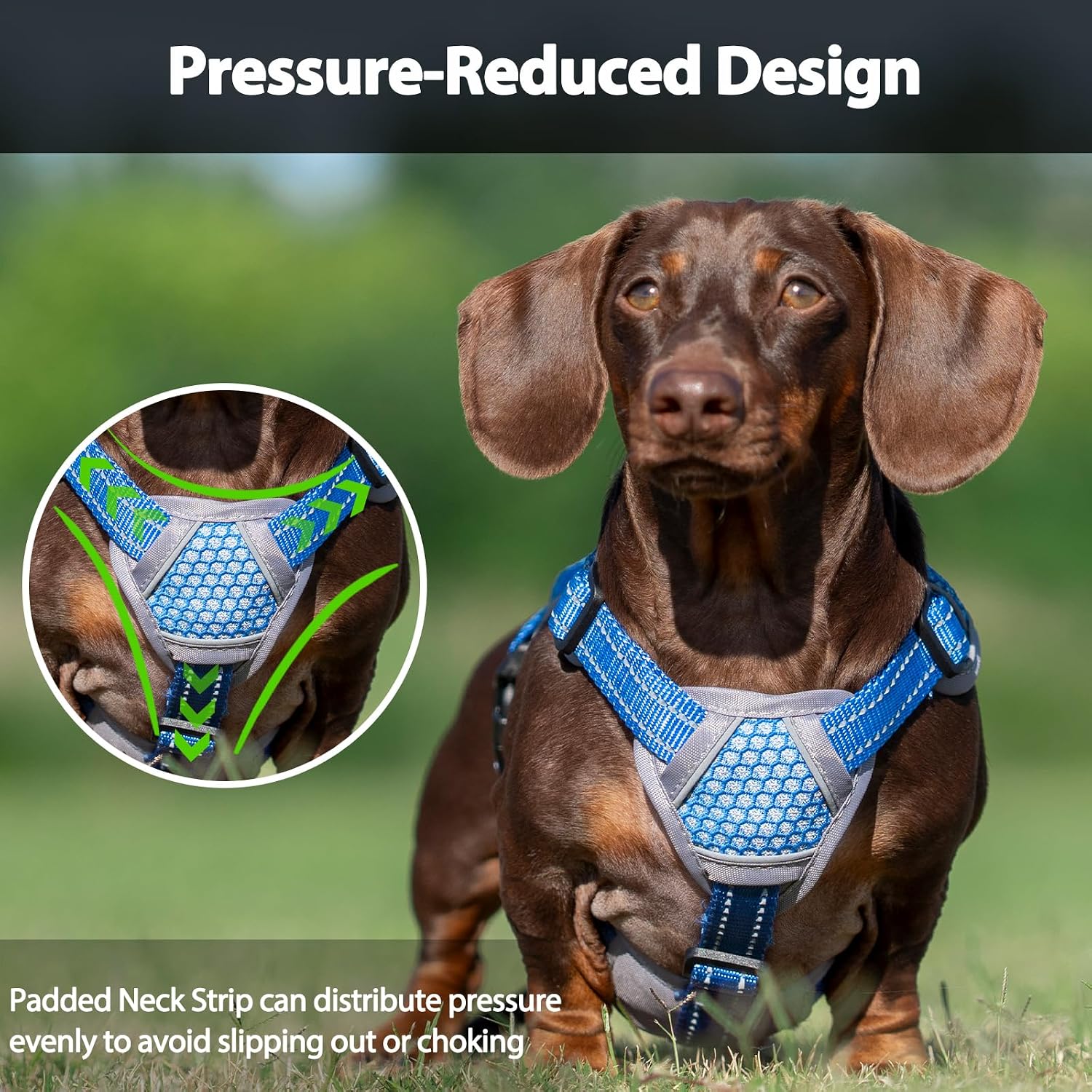 Detalle de Huntboo Dog Harness M