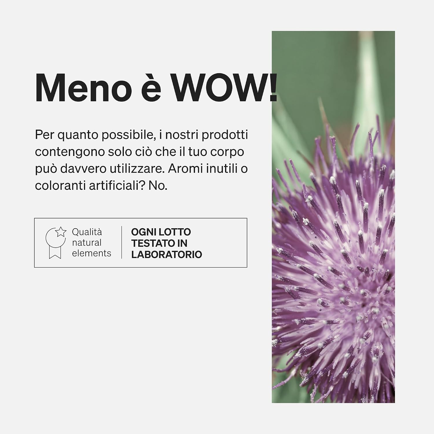 Detalle de Cardo Mariano, Carciofo e Tarassaco (Dente di Leone) 120 capsule con silimarina