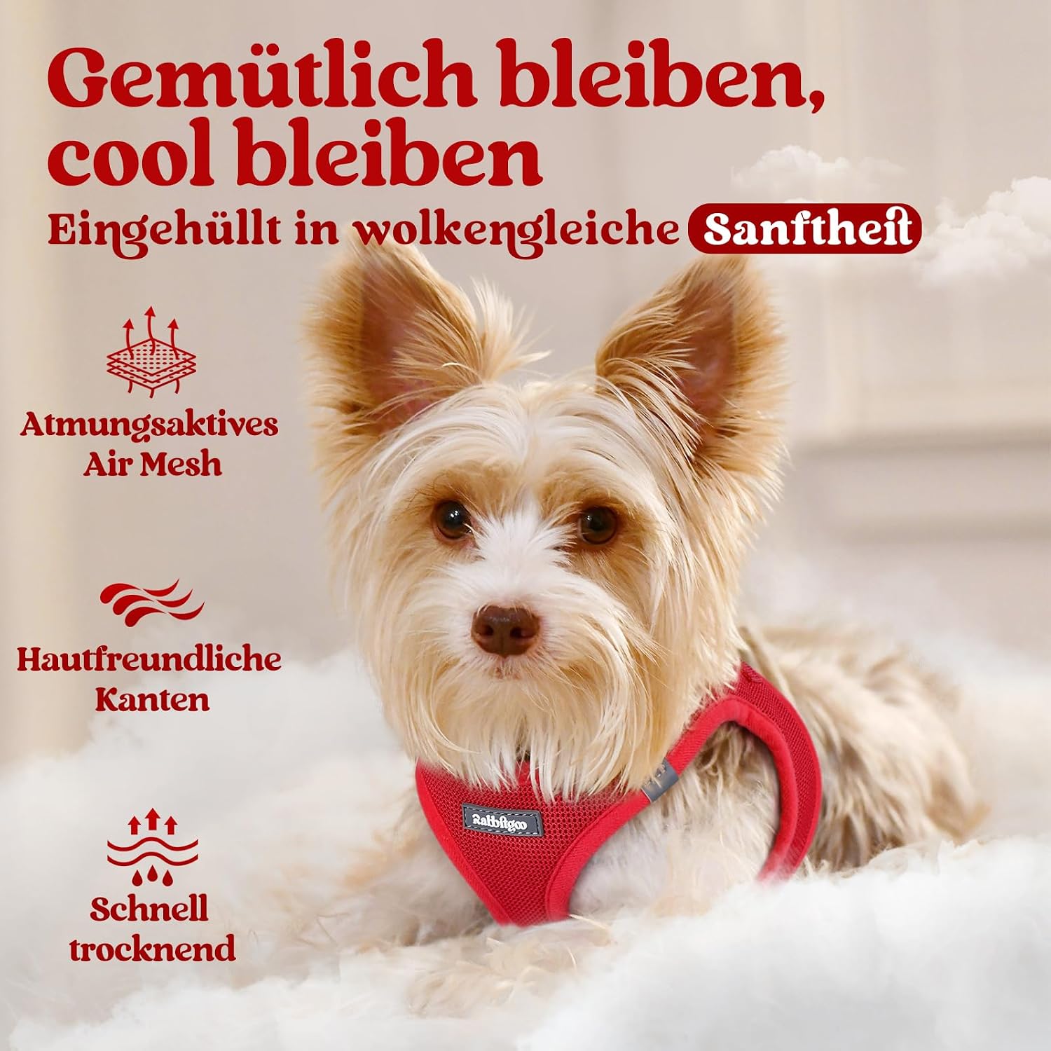Detalle de rabbitgoo Hundegeschirr Step-in für kleine Hunde (Größe M) – weiches Air-/Mesh, reflektierend, rot