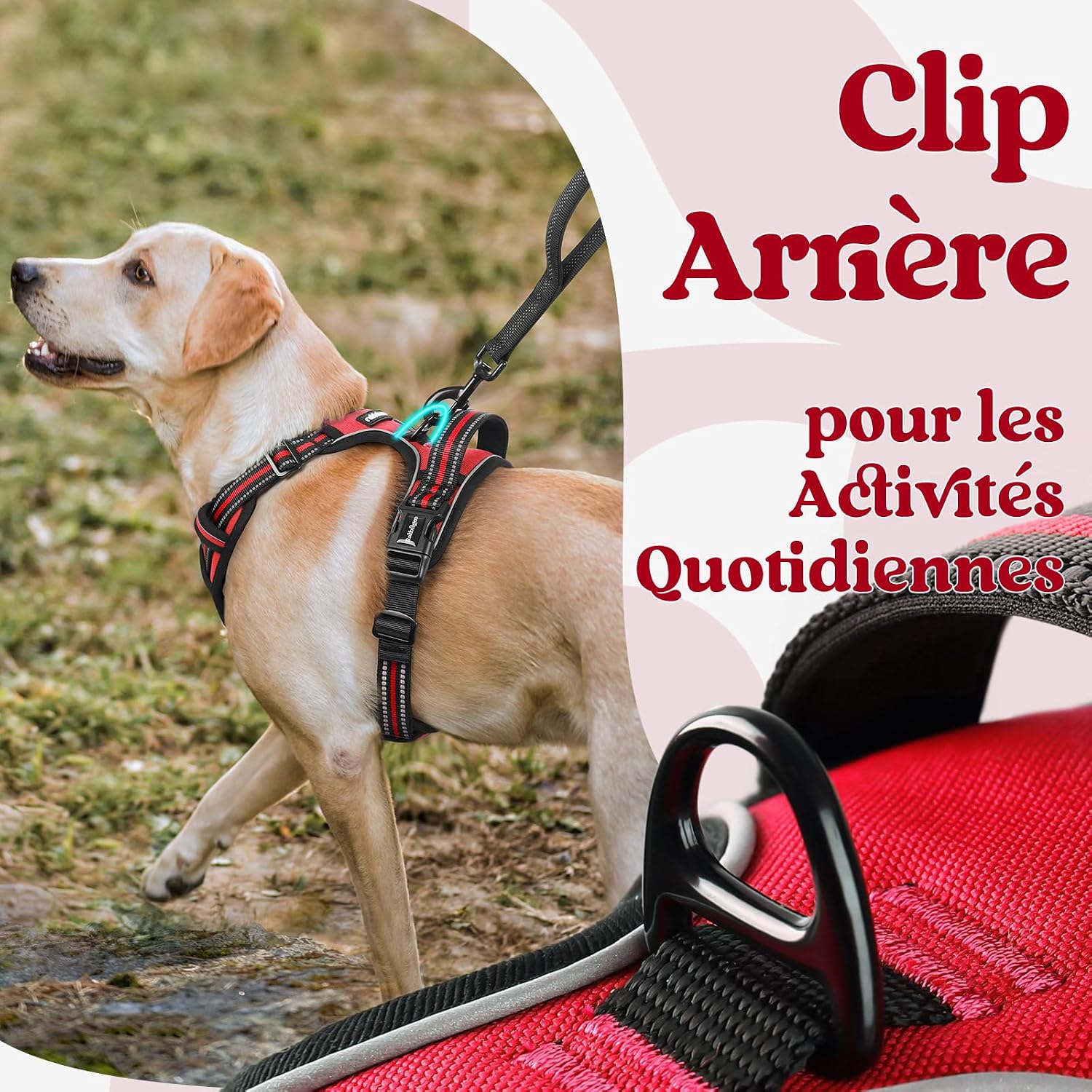 Thumbnail 6 de rabbitgoo Harnais anti traction pour chien M
