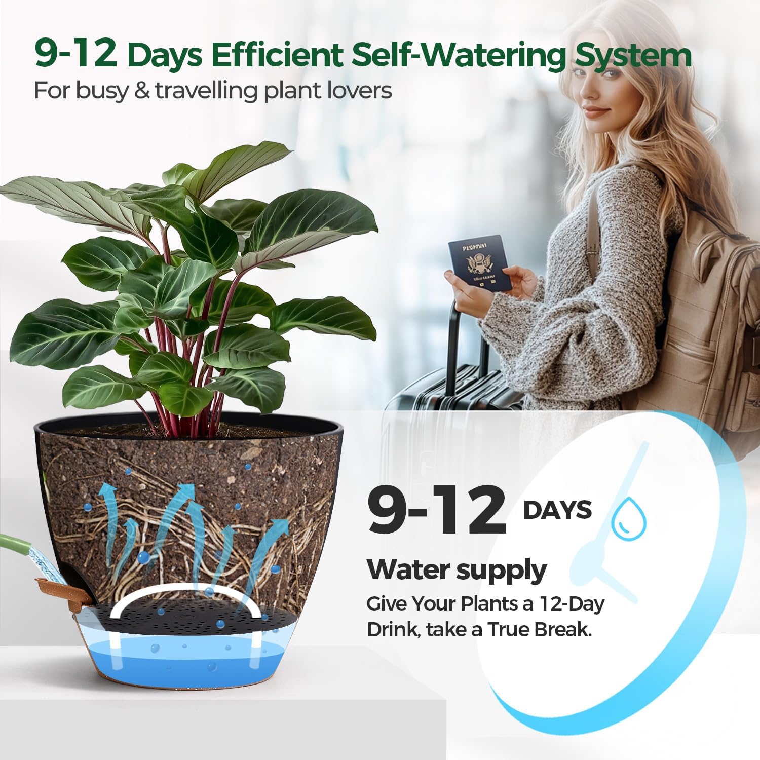 Thumbnail 4 de T4U 25cm Self Watering Plant Pots (2 Pack) with Water Level Indicator & Deep Reservoir, Black