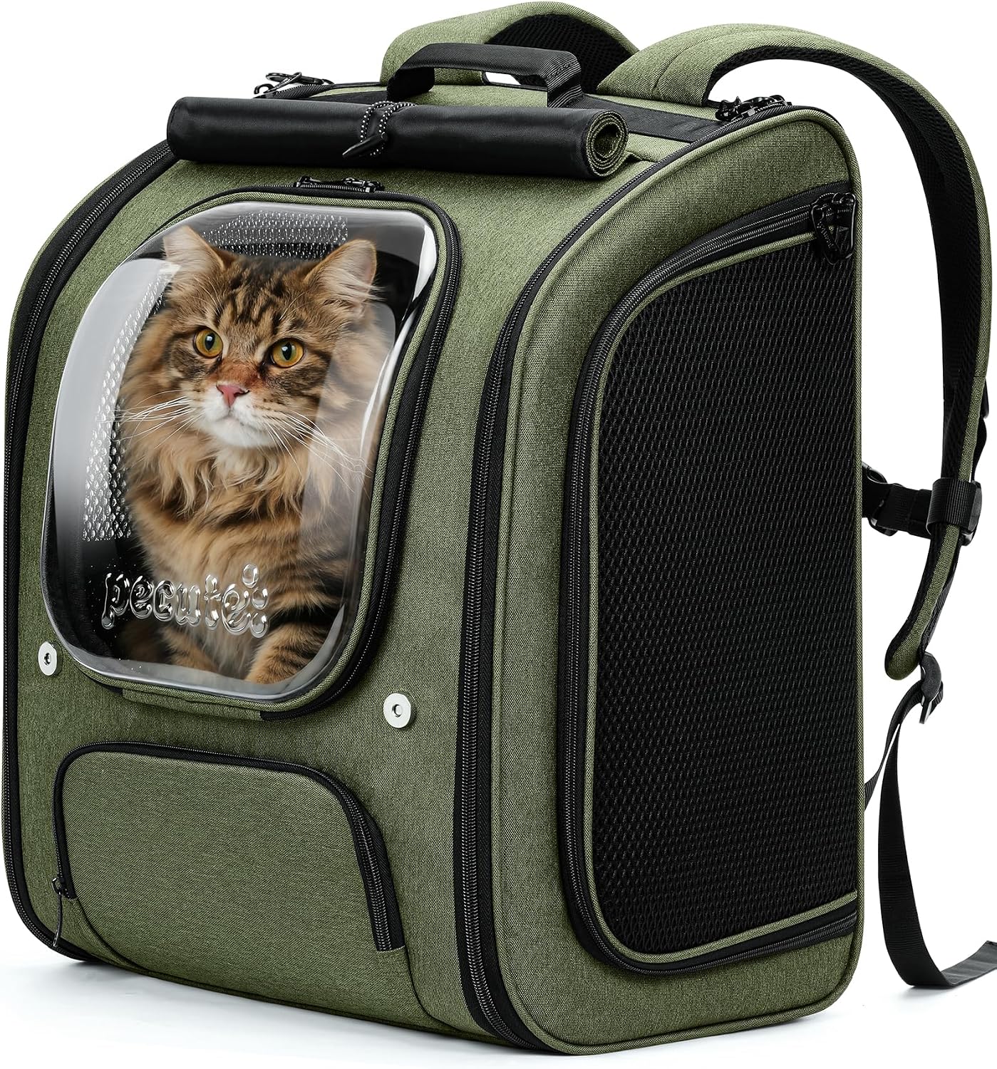 Pecute Katzenrucksack XXL Grün – Geräumig, ergonomisch und outdoor-tauglich