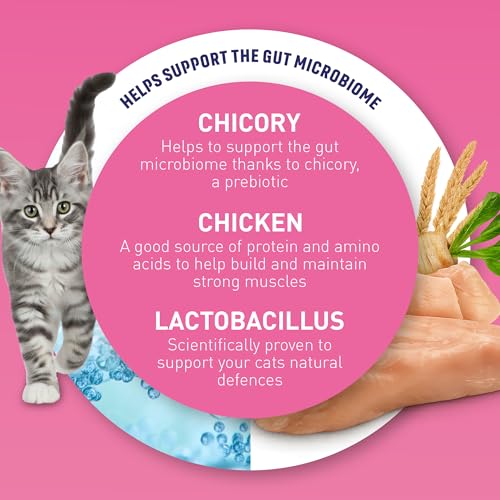 Detalle de Purina ONE Kitten Chicken Dry Cat Food 750g (Pack of 4) review