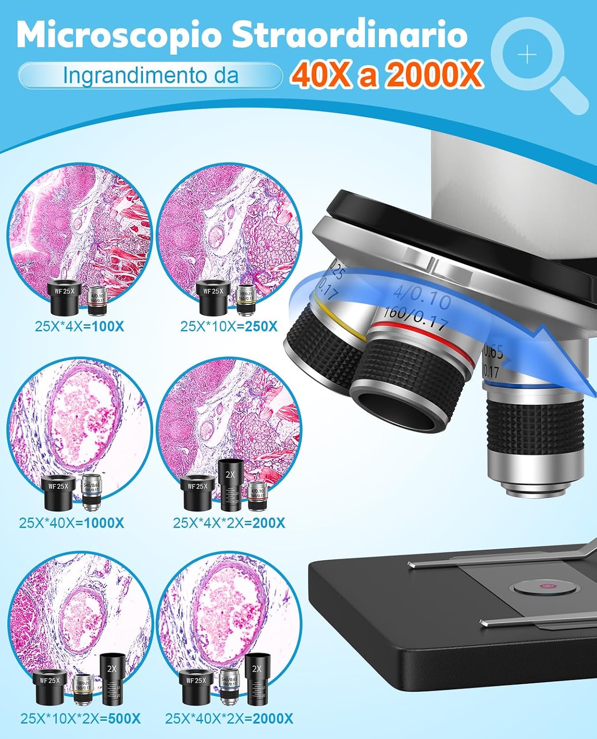 Detalle de Microscopio 2000X per Bambini, Studenti e Adulti — Kit professionale in metallo con vetrini e supporto per phone