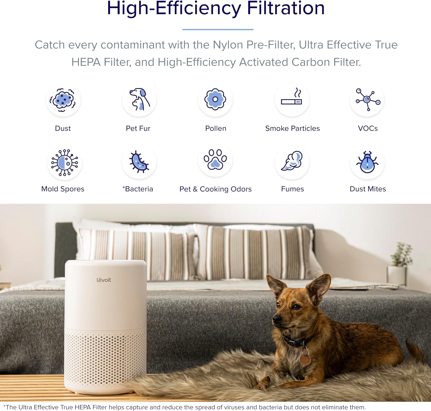 Detalle de LEVOIT Core 200S HEPA Air Purifier 64 m²