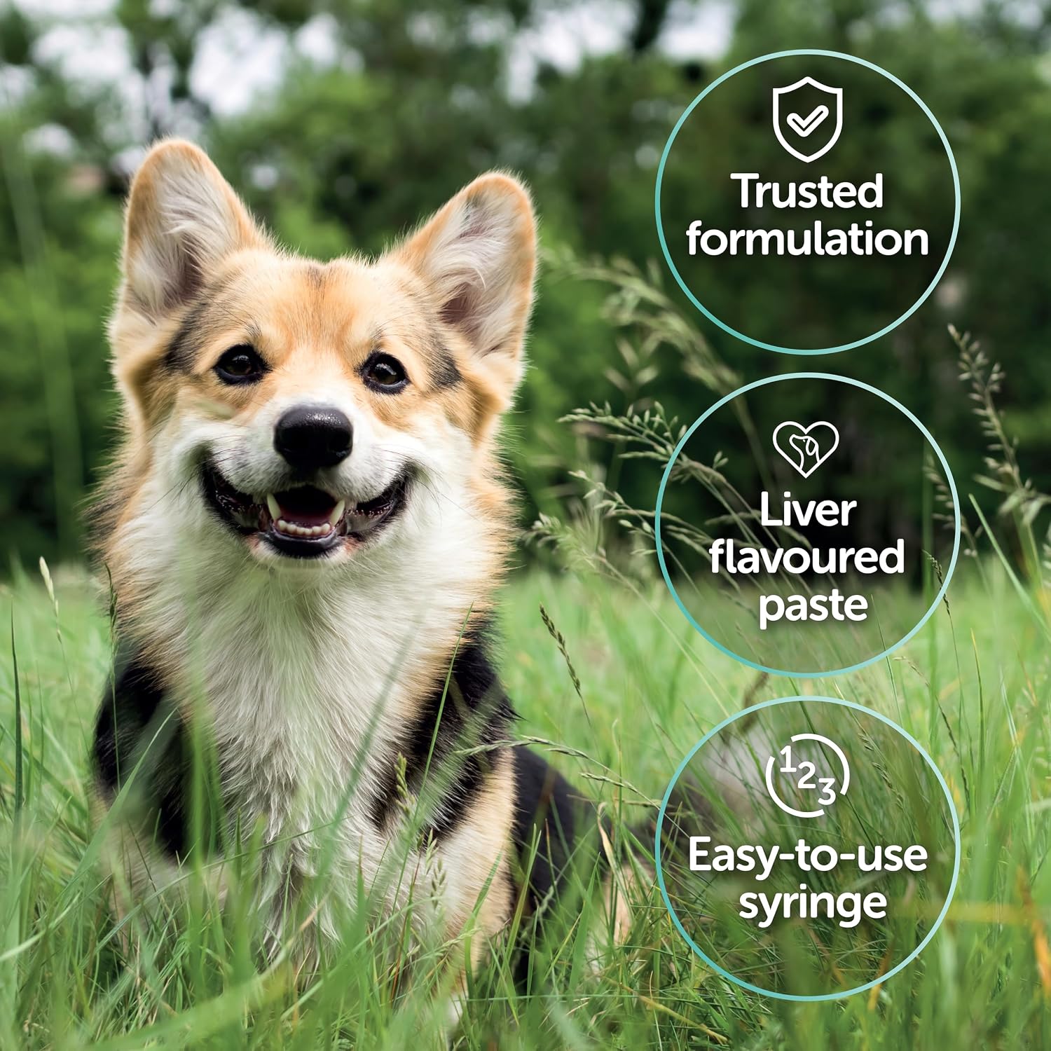 Detalle de Protexin Veterinary Pro-Kolin Advanced Paste for Dogs, 30ml Syringe