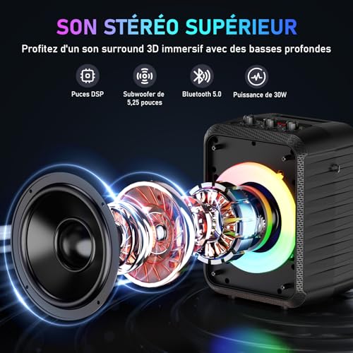 Thumbnail 1 de HWWR T13 enceinte karaoké portable 120 W avec deux micros sans fil et LED