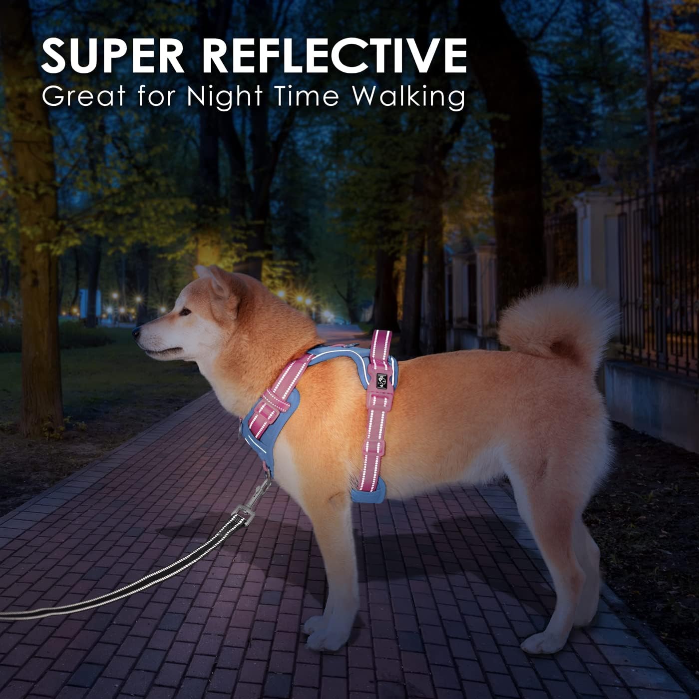 Detalle de PHOEPET No Pull Escape Proof Dog Harness with Front & Back Leashes and Quick-Release Buckles