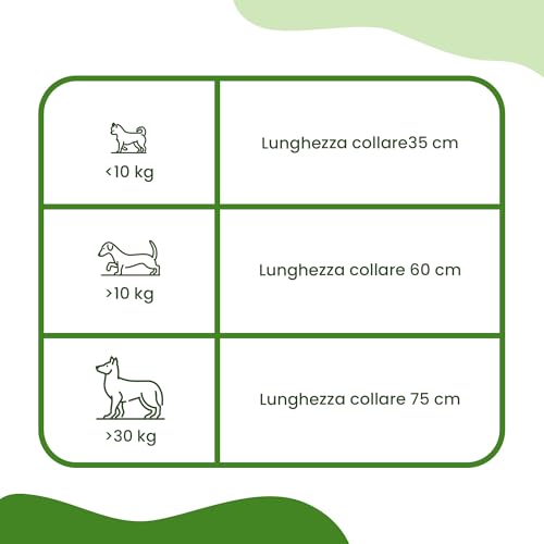 Detalle 2 de CAMON Collare Protettivo per Cane (>10kg) con Olio di Neem, 60 cm: protezione naturale fino a 2 mesi