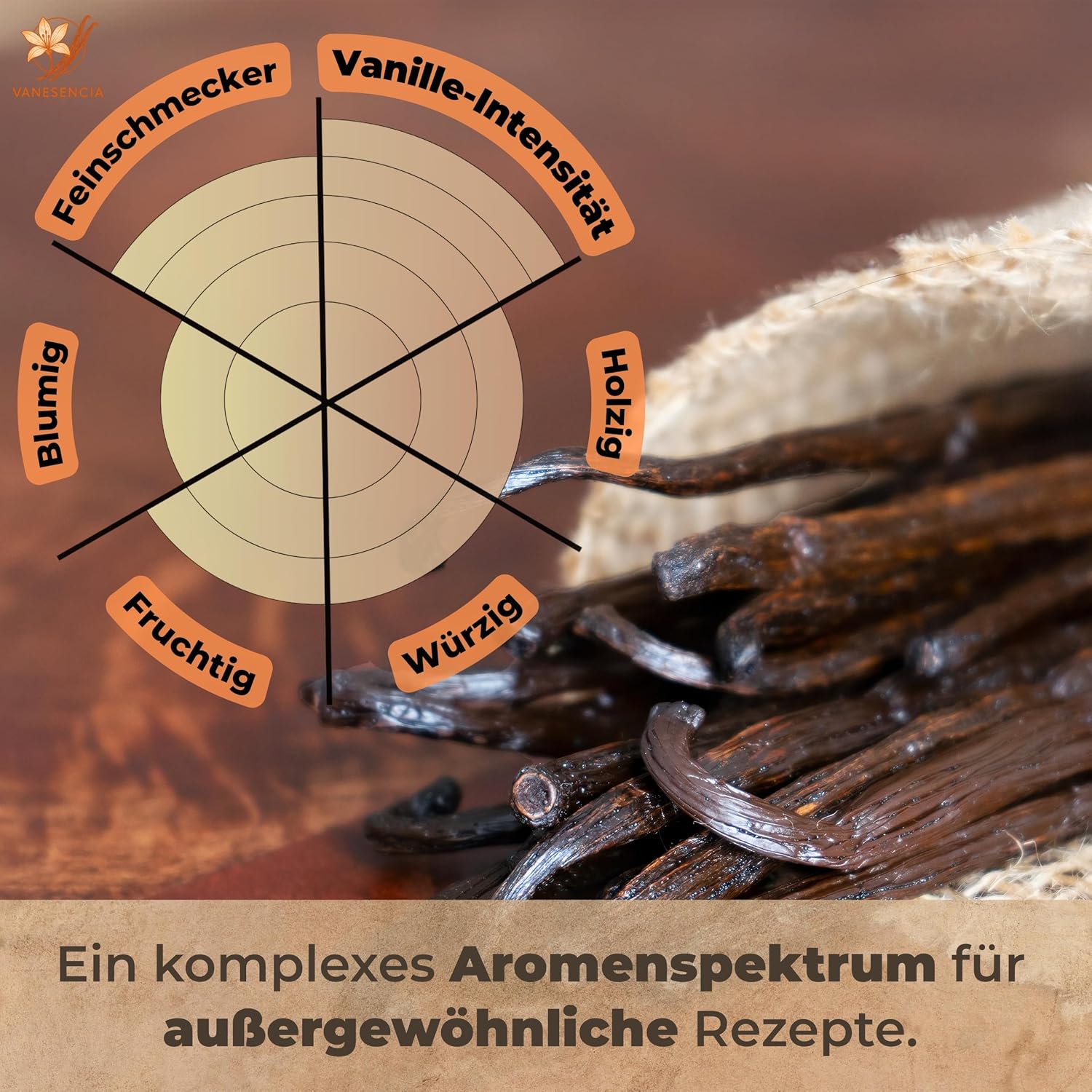 Detalle 2 de 7 Stück Vanilleschoten XL 15–18 cm | Bourbon Vanille aus Madagaskar – GRAND CRU