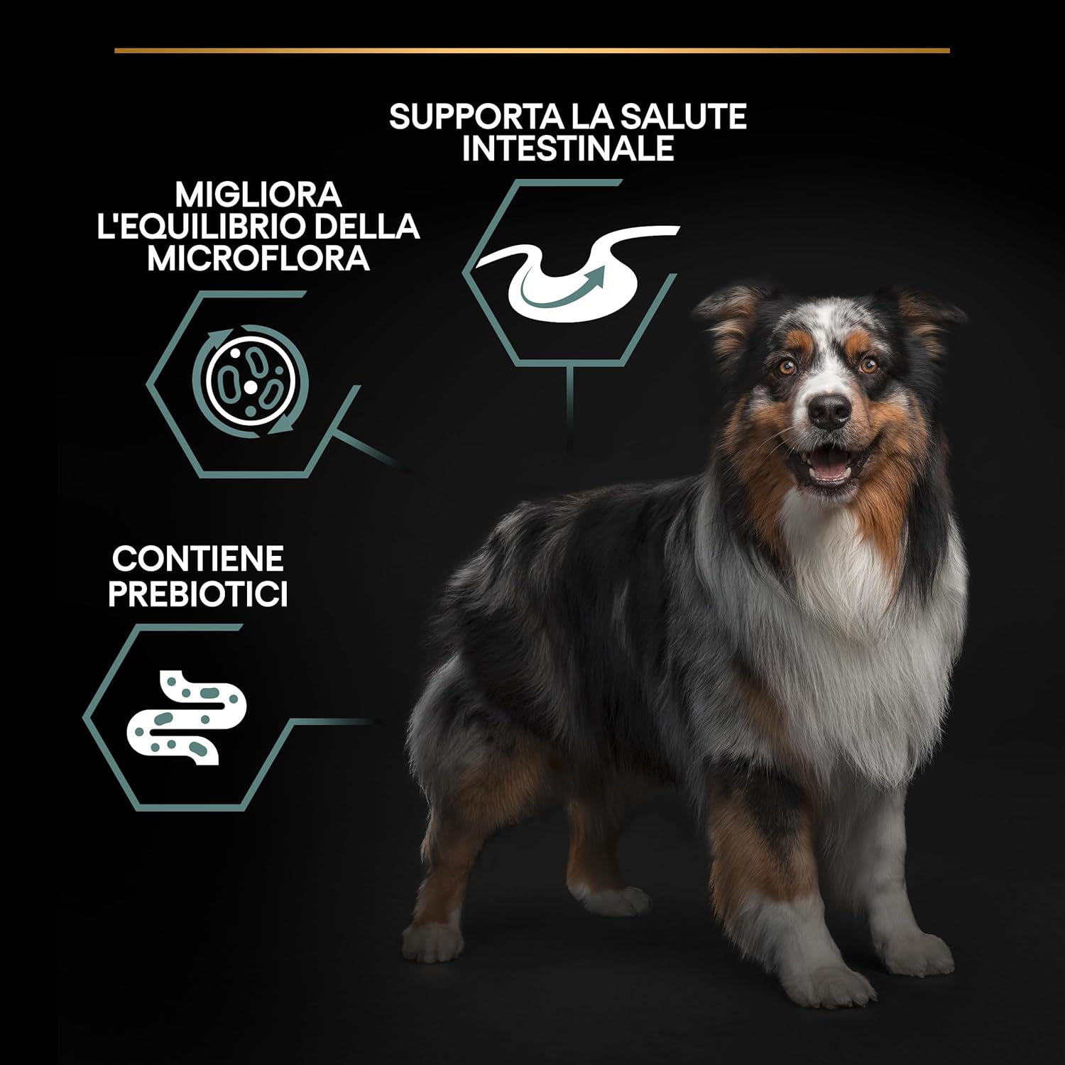 Detalle de Purina Pro Plan Medium Adult Optidigest Crocchette Cane, sacco da 14 kg