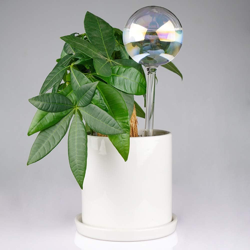 Thumbnail 4 de [2 PCS] Iridescent Rainbow Gradient Glass Self-Watering Spikes – Automatic Plant Waterers