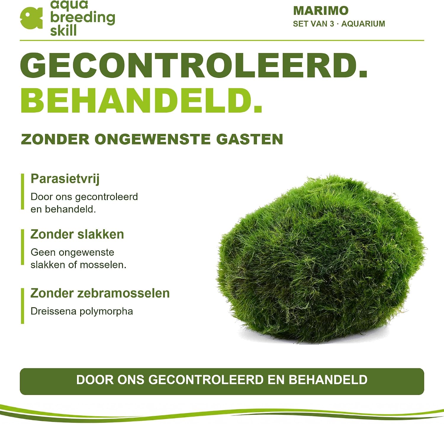 Detalle de Aqua Breeding Skill Marimo mosballen, set van 3, 4–5 cm voor zoetwateraquaria