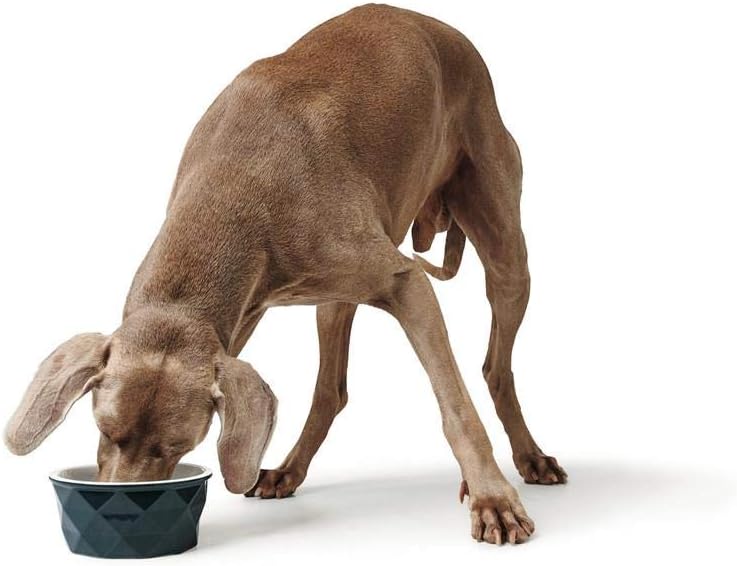 Thumbnail 2 de HUNTER EIBY Keramik-Napf (Futter- und Trinknapf) 350 ml, rutschhemmend, blau