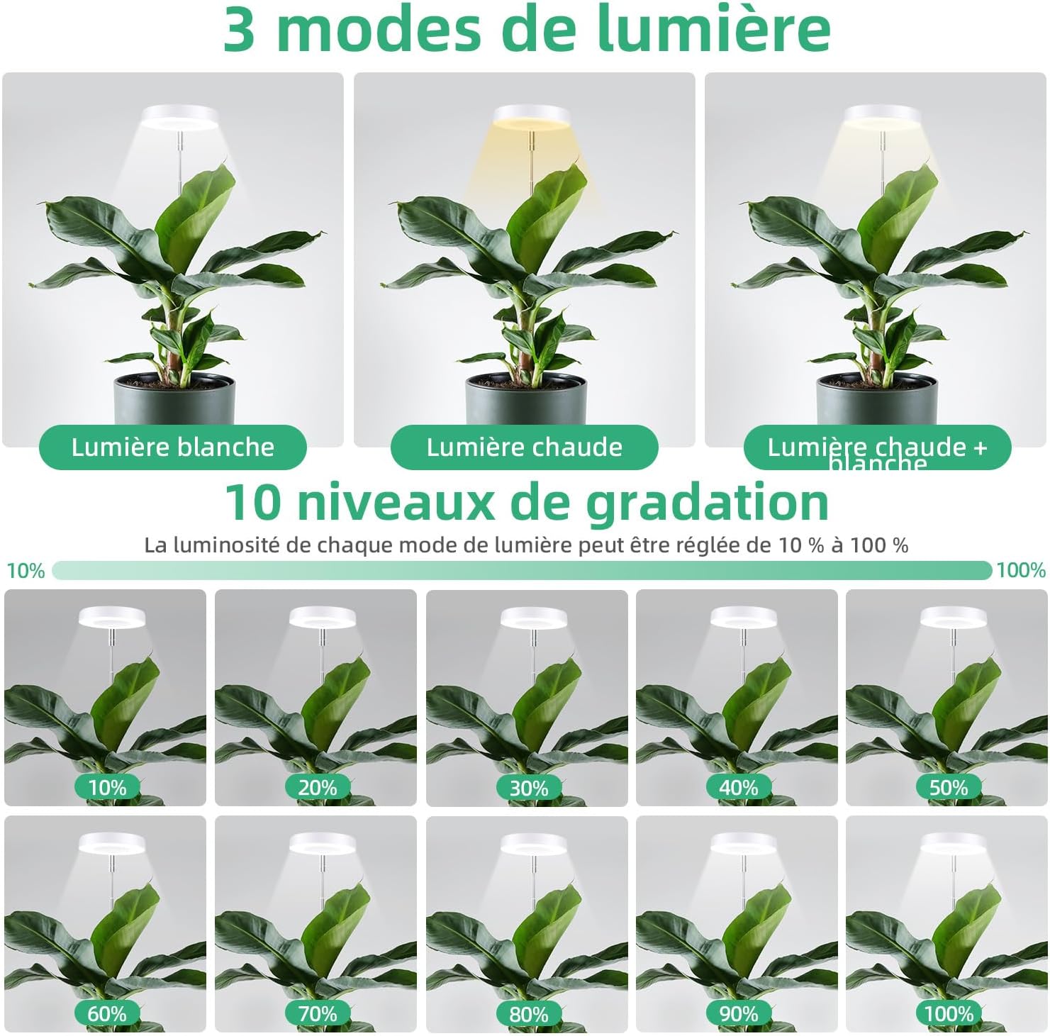 Detalle de Mcbazel Lampe Plante 61,5 cm