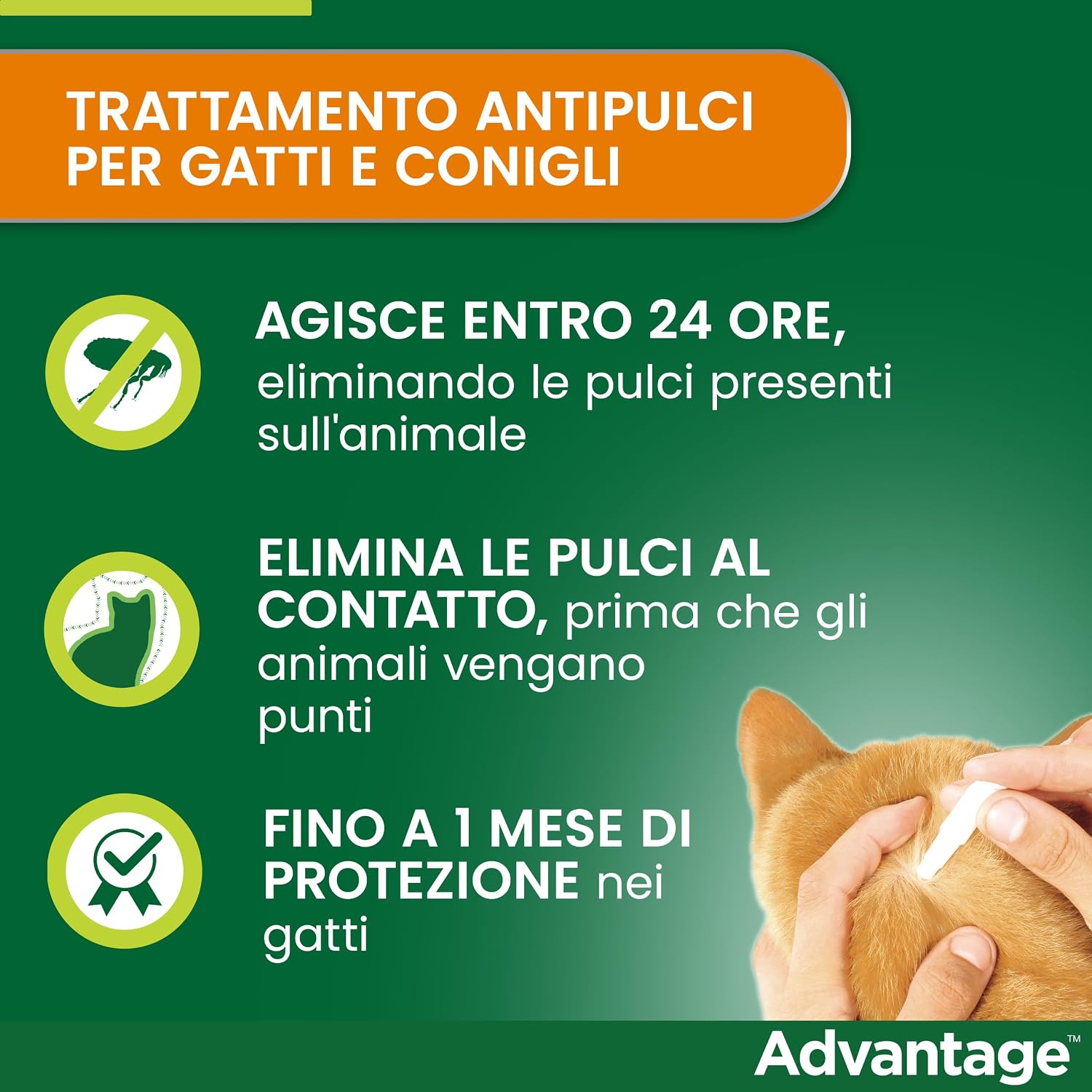 Detalle de Advantage spot-on per gatti grandi (4 pipette) – Trattamento antipulci Elanco