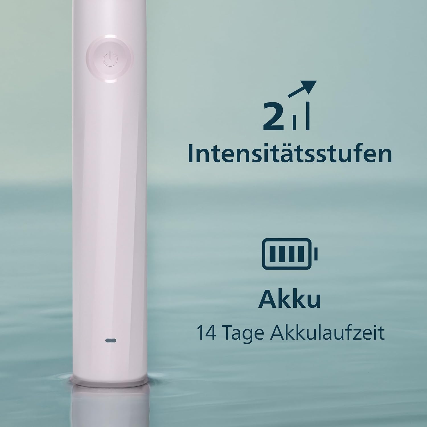 Detalle 2 de Philips Sonicare Series 2000 HX4023/03