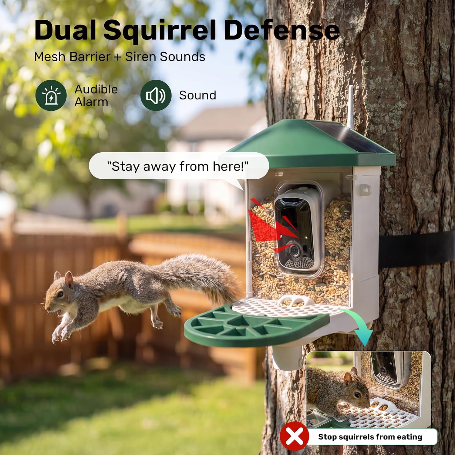 Detalle 2 de HARYMOR Smart Bird Feeder with Camera, 1.5L Capacity
