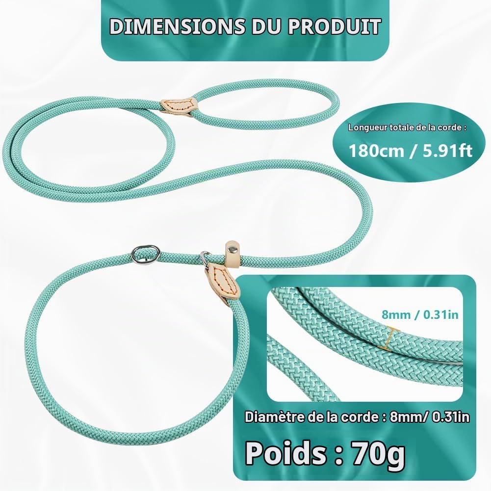 Detalle de OSDUE verstelbare hondenriem van nylon, 1,8 m x 0,8 cm, cyaan