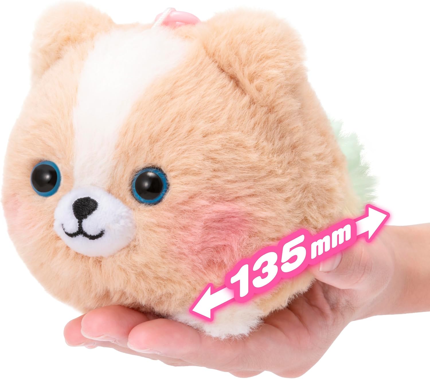Detalle 2 de アガツマ ぶるるんずワンだきみは!? mini キーホルダー付き・しっぽを引くと振動、電池不要