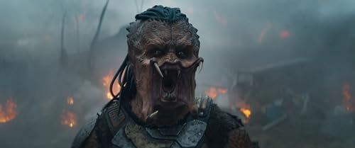 Thumbnail 3 de Predator: Badlands (4K UHD + Blu-ray) — Divisa Films