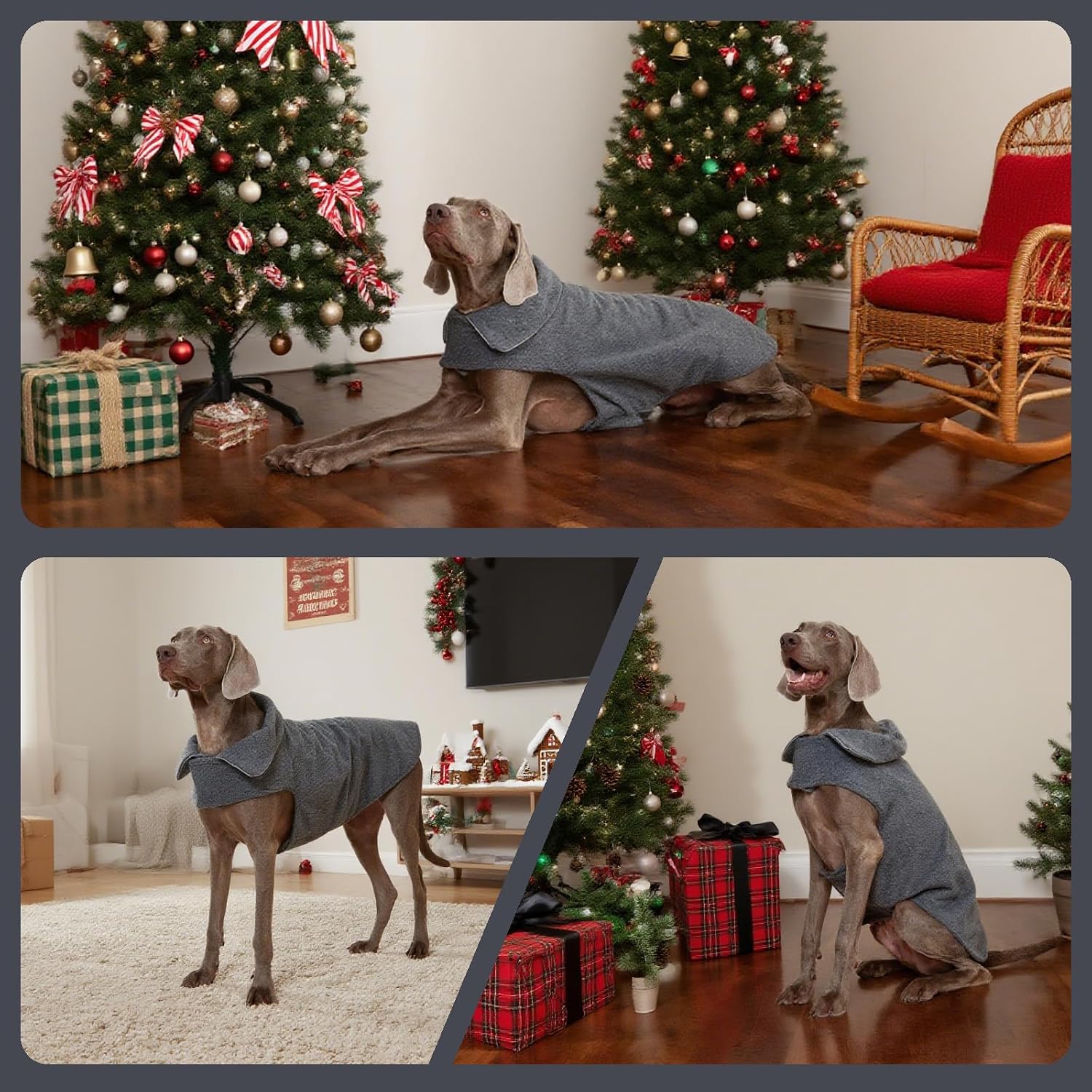 Thumbnail 6 de DENTRUN Reversible Dog Coat, 100% Polyester