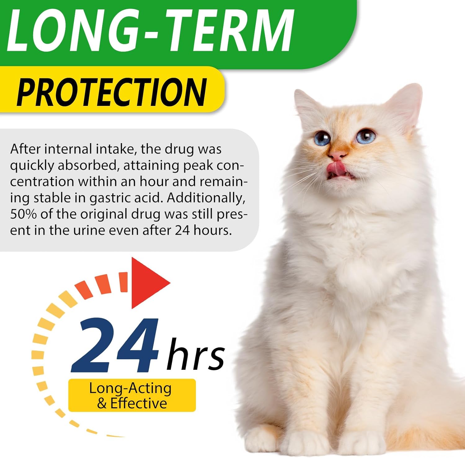 Thumbnail 5 de Antibiotici per gatti 60 ml 🐱