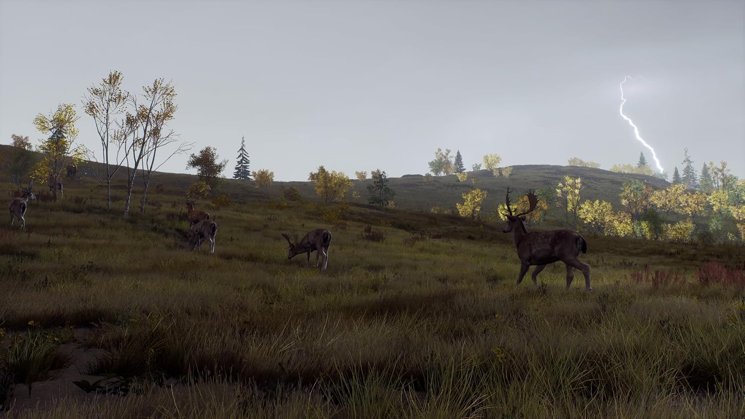 Detalle de Way of the Hunter Wild Expeditions — Jagdsimulation
