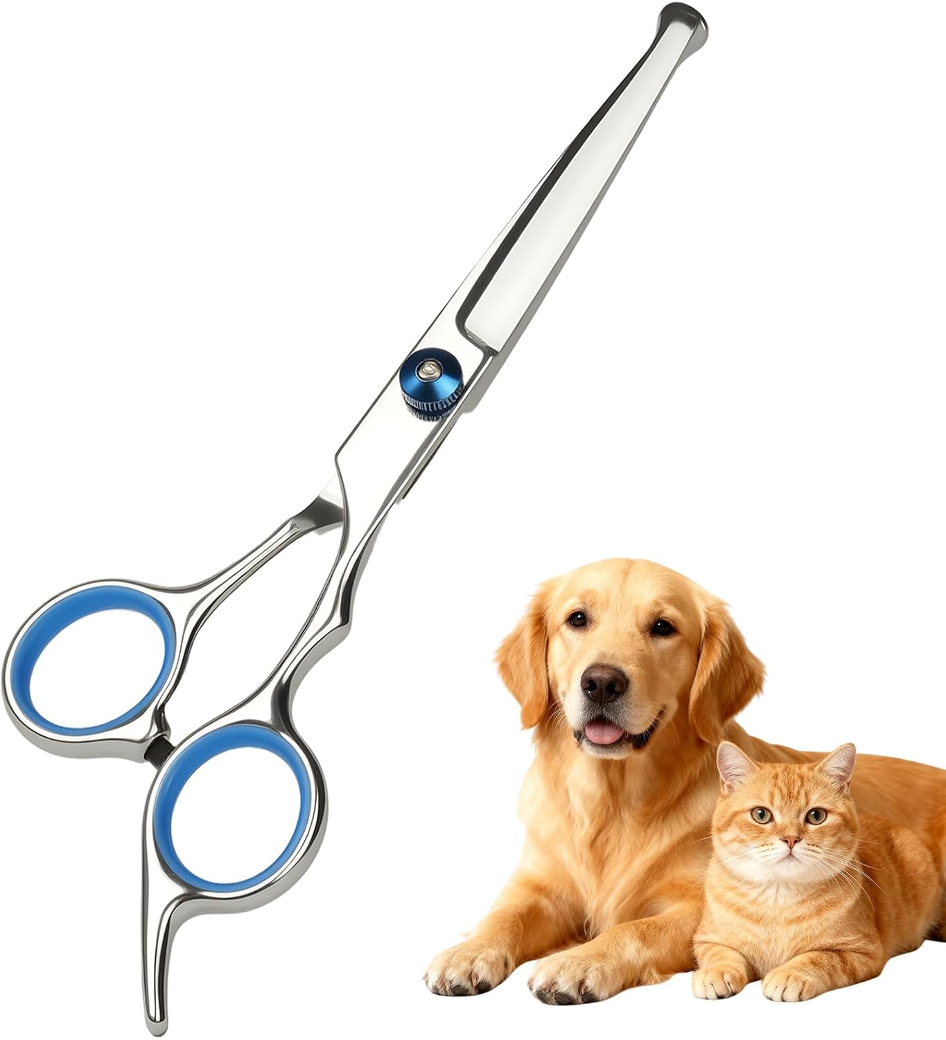 Detalle de AYBUY forbici per toelettatura animali domestici con punta rotonda di sicurezza, in acciaio inox, per cani e gatti – blu