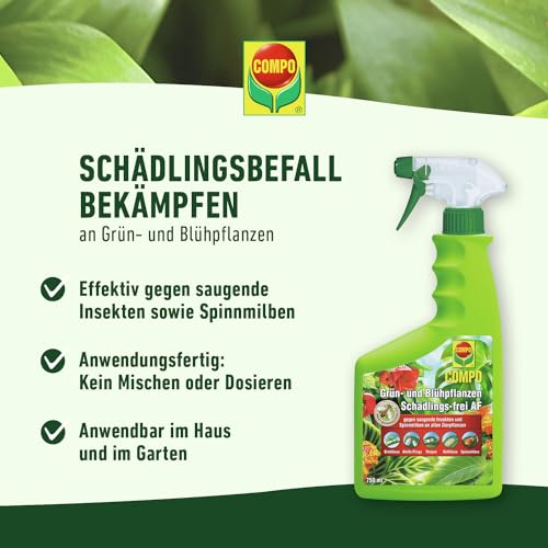 Thumbnail 7 de COMPO Grün- und Blühpflanzen Schädlings-frei AF 750ml – Hochwirksamer Schutz für Zierpflanzen