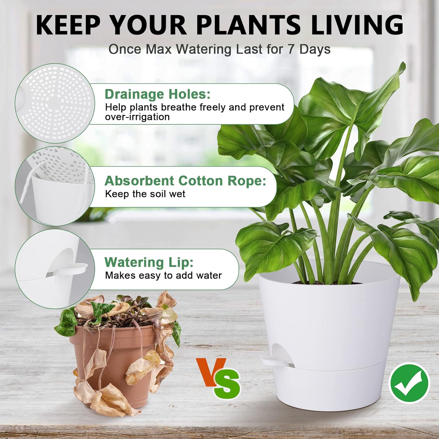 Thumbnail 2 de Idealife 10 Inch Maceta 1700 ml