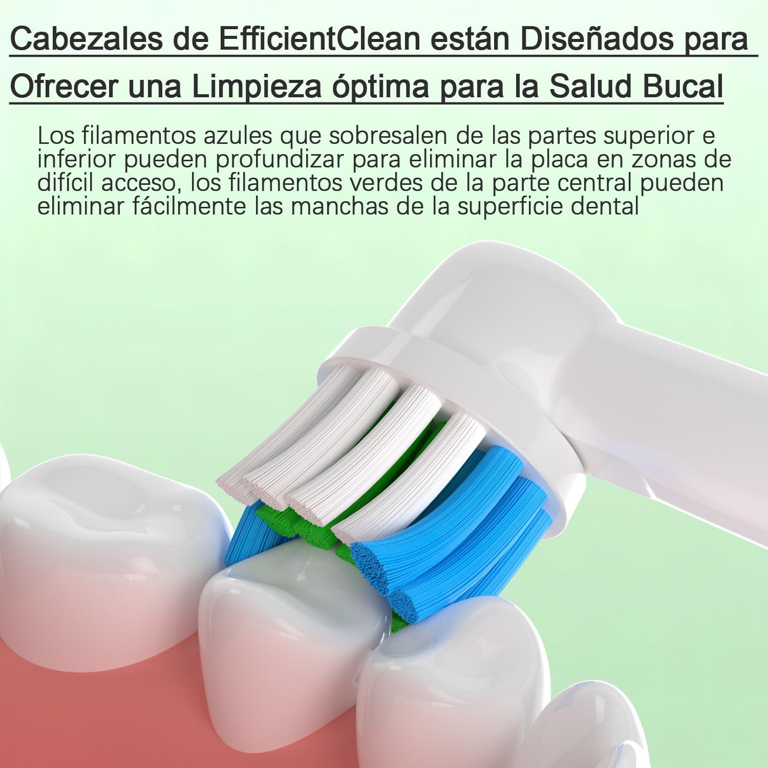 Thumbnail 2 de Qitizu Recambios Cepillos Compatible Oral B 40 unidades