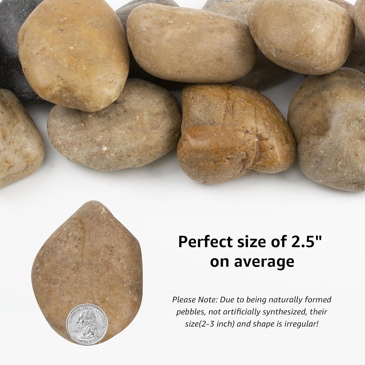 Detalle 2 de LOOIOOJ GM-PU-WCELS 40 lb Mixed River Rocks, 2–3-Inch Natural Pebbles