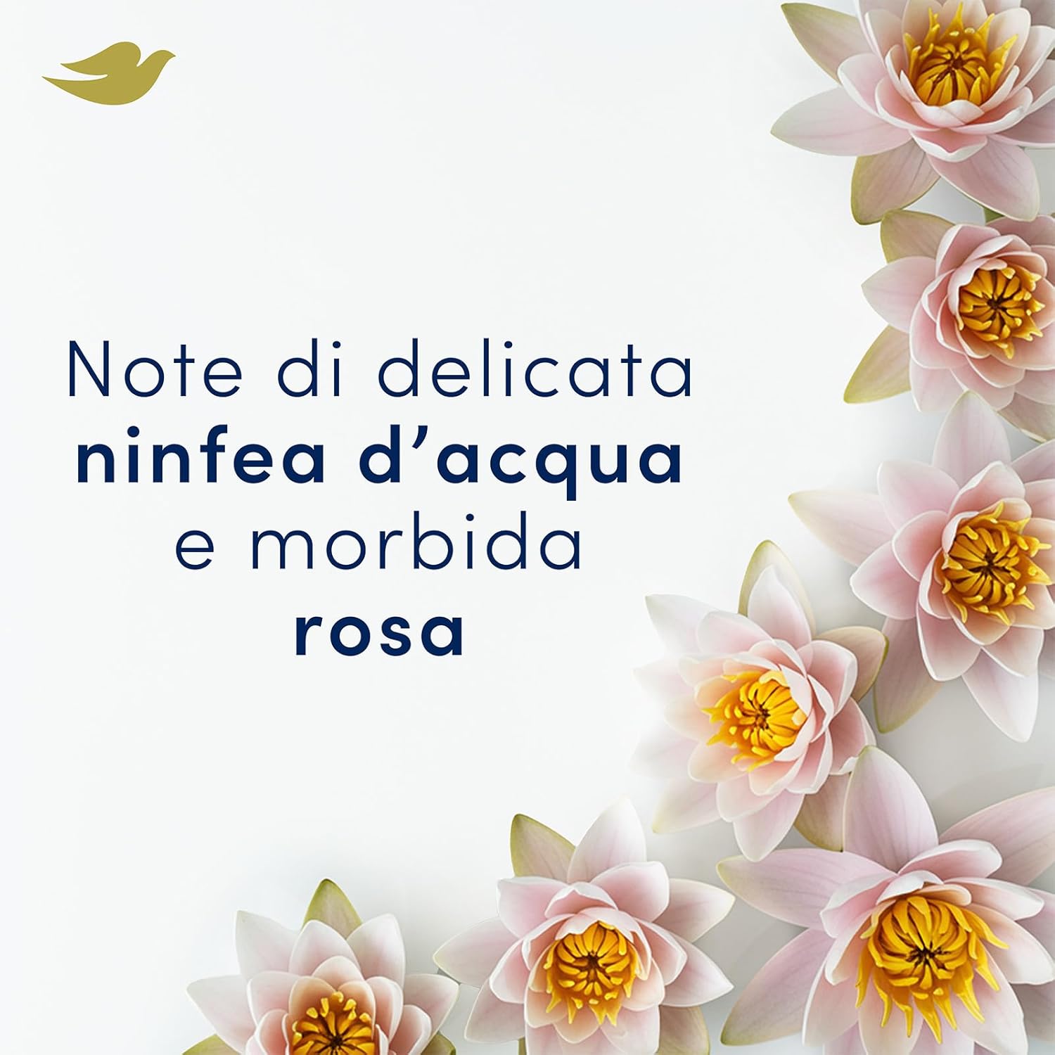 Thumbnail 6 de Dove Deodorante Spray Advanced Care Invisible Care 6x200 ml – protezione delicata e invisibile