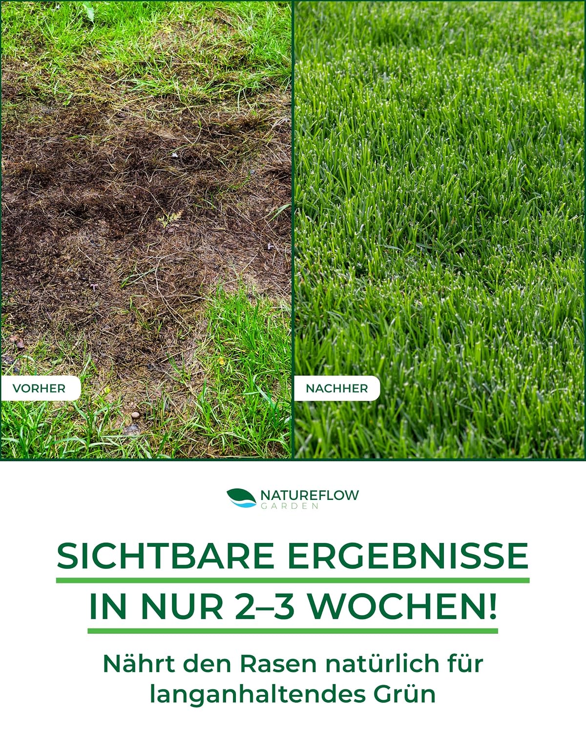 Detalle de Bio Rasendünger Sommer TESTSIEGER Made in Germany – 17,5 kg für 700 qm | Natureflow Garden