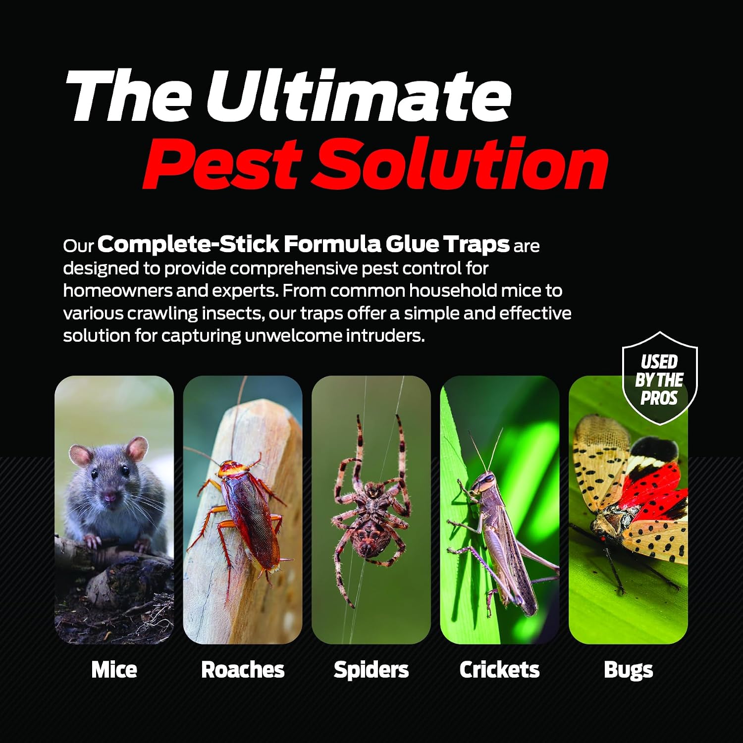 Detalle 2 de Extermanix Glue Traps for Mice and Bugs, Strong Adhesive, 12 Count