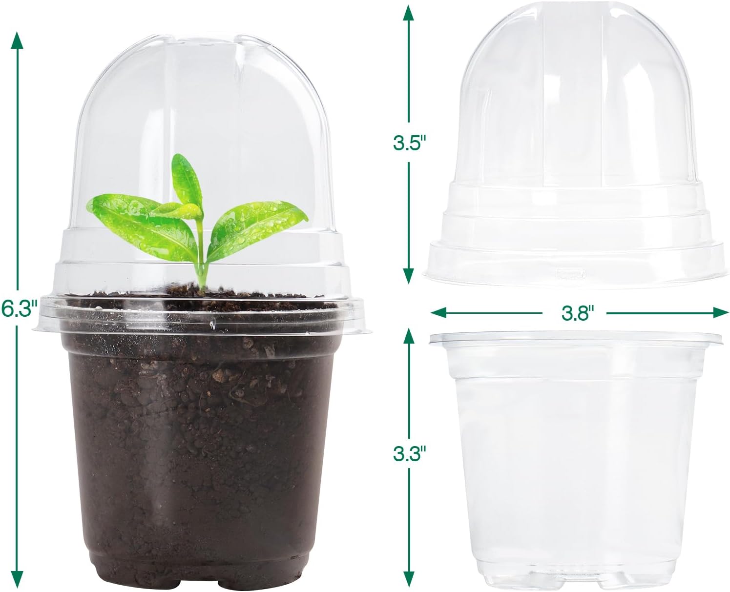Thumbnail 3 de Bluepro 30-Pack 4-Inch Clear Nursery Pots with Humidity Dome for Seed Starting
