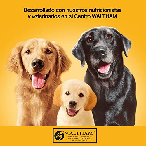 Detalle de Pedigree Comida húmeda Paté cordero y pollo 300 g